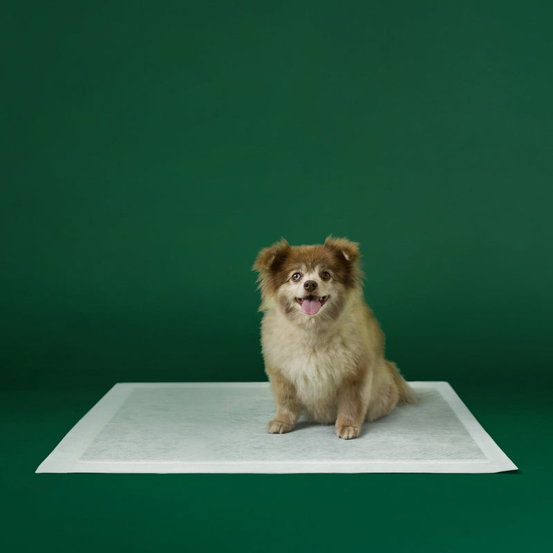 Disposable Dog Pee Pads with AbsorbShield+ Technology P0